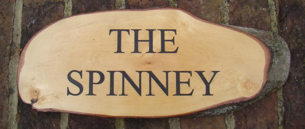 Wood Slice - Image 3