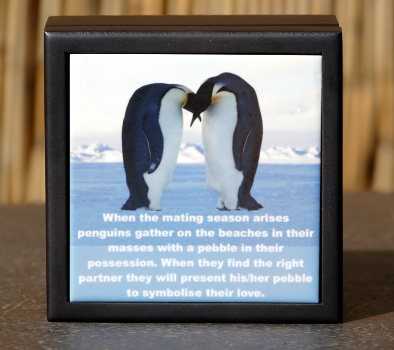 Deluxe Engraved Penguin Pebble - Image 3