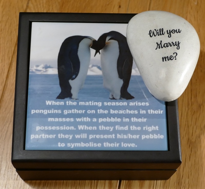 Deluxe Engraved Penguin Pebble